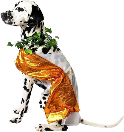 Toga Halloween Dog Costume (Large)